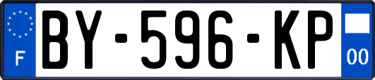BY-596-KP