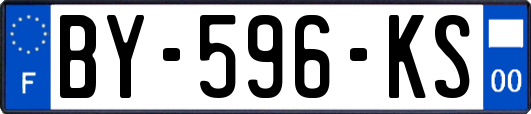 BY-596-KS