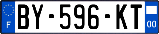 BY-596-KT