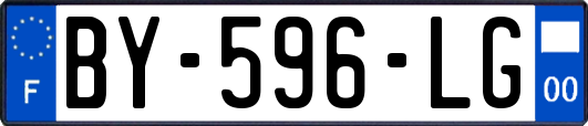 BY-596-LG