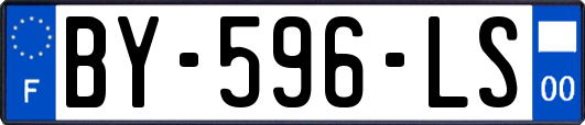 BY-596-LS