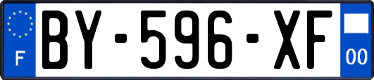 BY-596-XF
