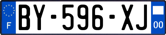 BY-596-XJ