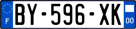 BY-596-XK
