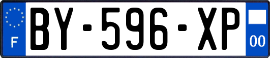 BY-596-XP