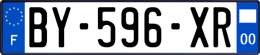 BY-596-XR