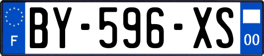 BY-596-XS