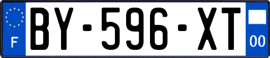 BY-596-XT