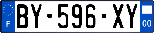 BY-596-XY
