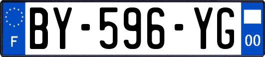 BY-596-YG