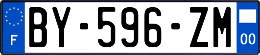 BY-596-ZM