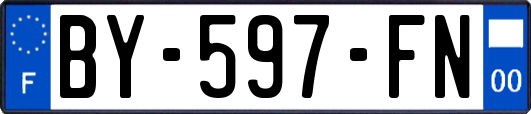 BY-597-FN
