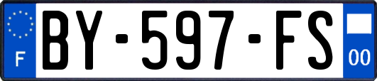 BY-597-FS