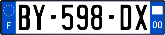 BY-598-DX
