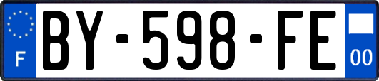 BY-598-FE