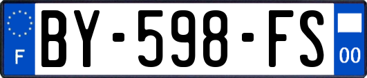 BY-598-FS