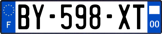 BY-598-XT