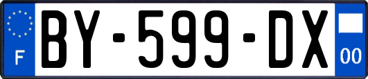 BY-599-DX