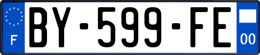 BY-599-FE