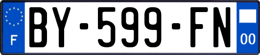 BY-599-FN
