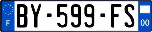BY-599-FS