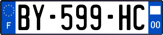 BY-599-HC