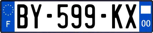 BY-599-KX