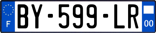 BY-599-LR