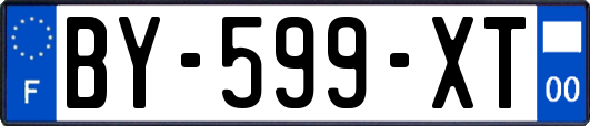 BY-599-XT