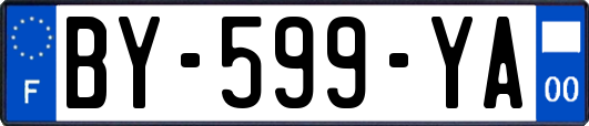 BY-599-YA