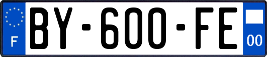 BY-600-FE