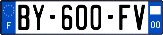 BY-600-FV