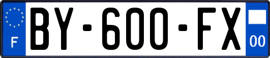 BY-600-FX