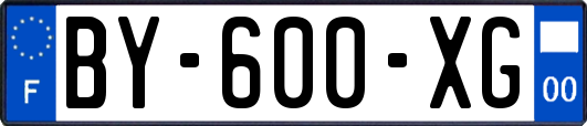 BY-600-XG