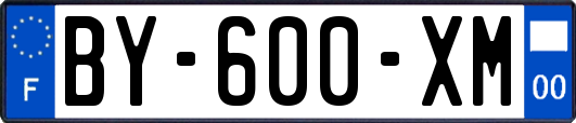 BY-600-XM