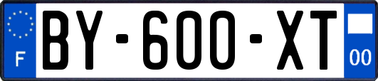 BY-600-XT