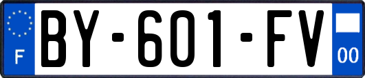 BY-601-FV