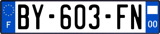BY-603-FN