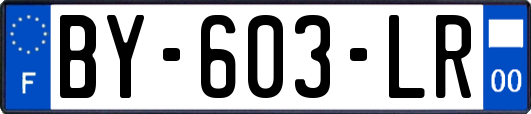 BY-603-LR