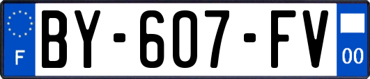 BY-607-FV