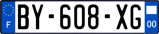BY-608-XG
