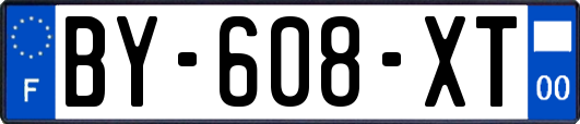 BY-608-XT