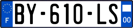 BY-610-LS