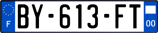 BY-613-FT