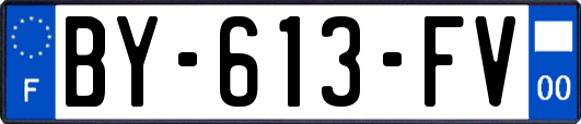 BY-613-FV