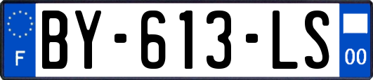 BY-613-LS