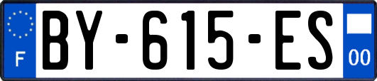BY-615-ES