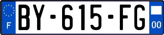BY-615-FG