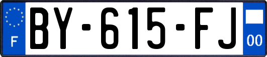 BY-615-FJ
