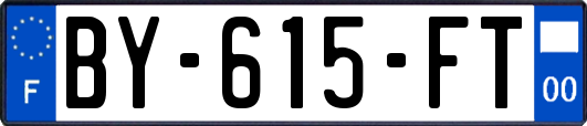 BY-615-FT